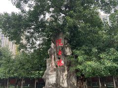-龙头寺公园