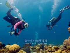 -达拉盖地潜水中心