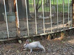 -福建鲤鱼洲酒店