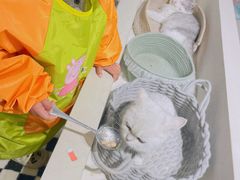 -怪兽屋·羊驼·猫咖·狗咖(俊华广场店)