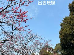 -无锡梅园公园