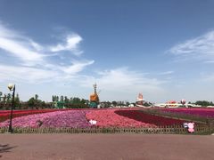 -荷兰花海