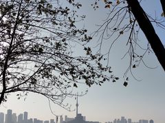 -武昌江滩