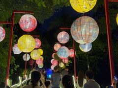 -广西壮族自治区药用植物园