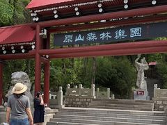 -原山国家森林公园