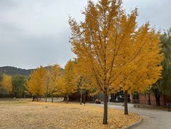 点击看大图 -浅山蜜塘奇妙乐园·亲子营地