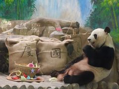 -灵玲国际马戏城