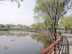 -绿堤公园