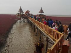 -红海滩国家风景廊道