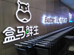 -盒马鲜生(财富中心店)