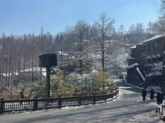 -莫干山风景区