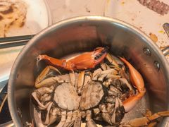 -半岛听涛蒸汽海鲜自助(K11店)