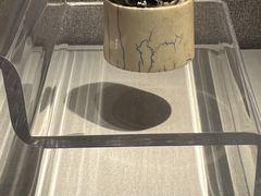 -旅顺博物馆