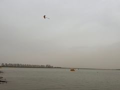 -天津东丽湖风景区