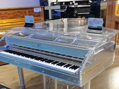 -柏斯音乐艺术中心·钢琴·吉他(世纪金源店)