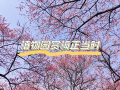 -杭州植物园