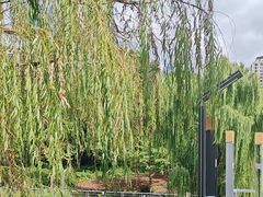 -苏州河梦清园环保主题公园