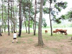 -Club Med地中海俱乐部·桂林度假村