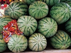 -新疆国际大巴扎