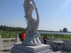 -呼兰河口湿地公园
