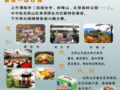 -龙凤山庄(永定镇店)