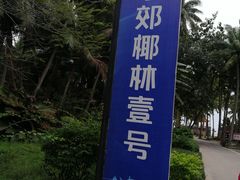 -东郊椰林