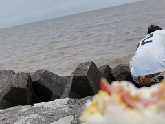 -南汇新城海滩