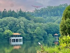 -深圳仙湖植物园
