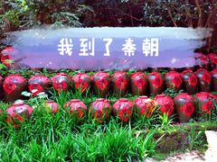 -常德桃花源景区