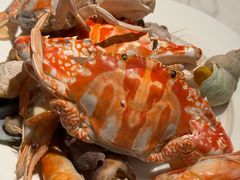 -深圳宝安福朋喜来登酒店 · 玩啤食社