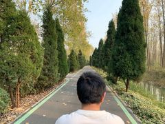 -合肥滨湖国家森林公园