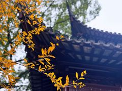 -豫园