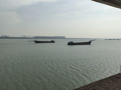 -大湾区中央湿地公园