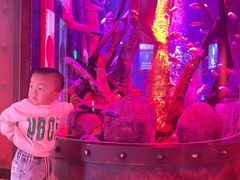 -沈阳海洋探索中心