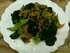 -星月美食城(红格线店)