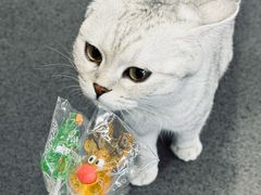 -超鹿运动(五四路恒力城店)