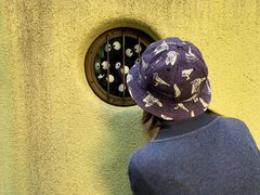 -三鹰之森吉卜力美术馆