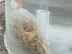 -裕龙汤泉