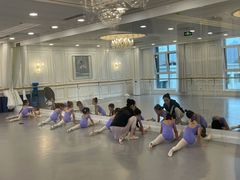 -芭蕾仙子 FairyBallet 少儿芭蕾舞蹈中心(丽都旗舰店)