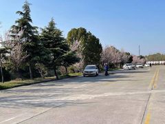-无忧学车·大众驾校(长宁校区)