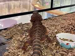 -义乌之心城市生活广场