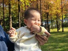 -晓港公园