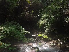 -本溪汤沟绿石谷森林公园