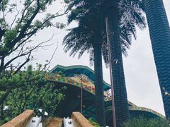 -苏州乐园森林水世界