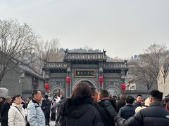 -康百万庄园