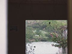 -东钱湖旅游度假区