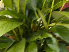 -康熙养生SPA·轻奢足道(江宁万达店)