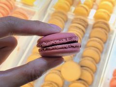 -Pierre Marcolini(德基广场店)