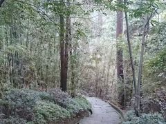 -重庆抗战遗址博物馆