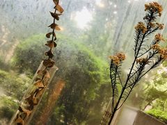 -XI·LaundryCafe 喜咖自助洗衣咖啡店